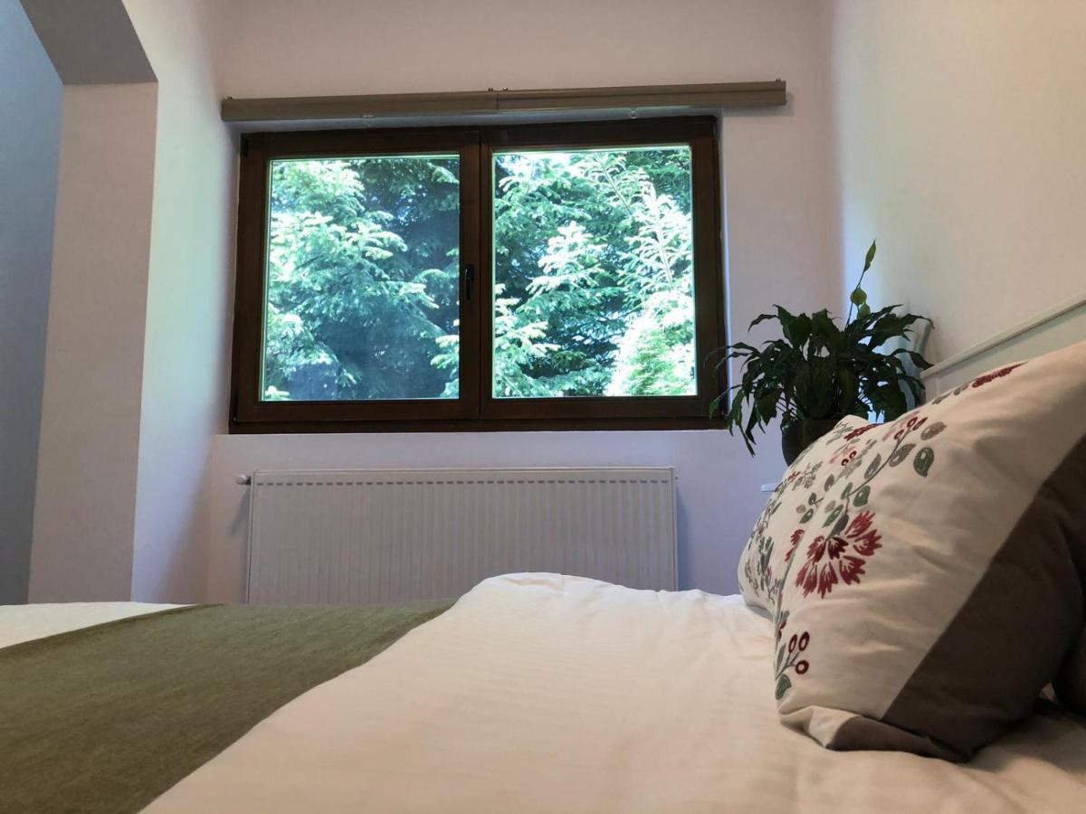 Forest Apartments By Olala Homes Sinaia Buitenkant foto